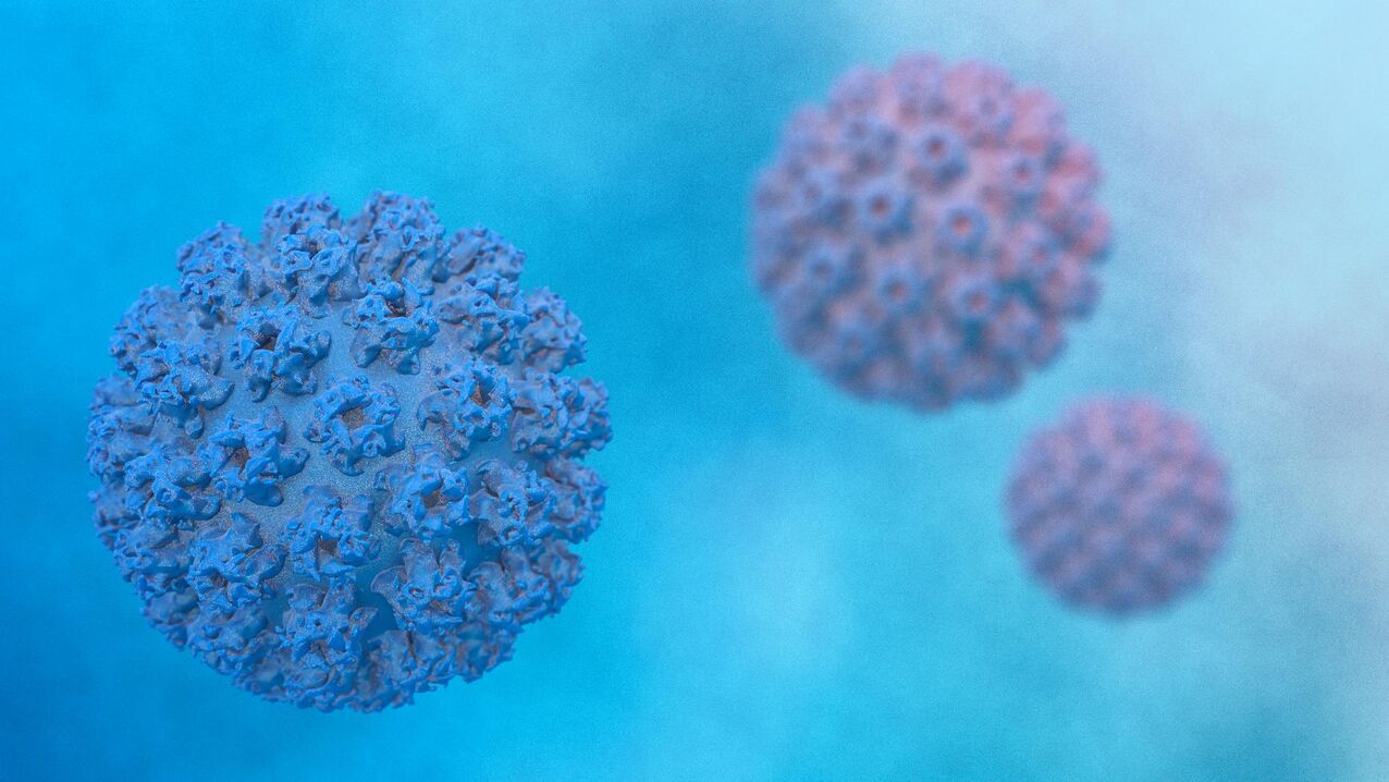 Virus du papillome