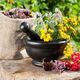 Herbes pour le traitement des papillomes